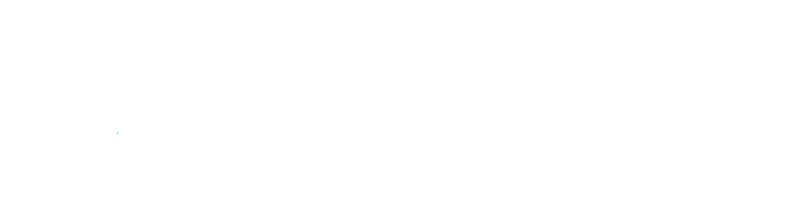 Logo Software Select Wit